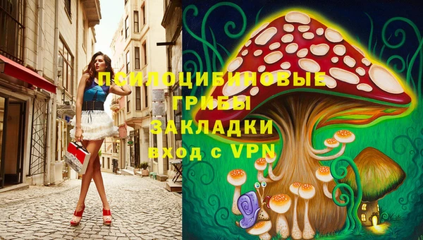 спайс Белокуриха