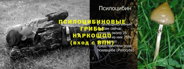 прущие грибы Белоозёрский
