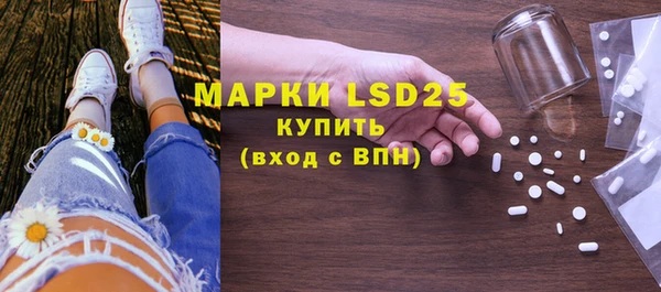 прущие грибы Белоозёрский