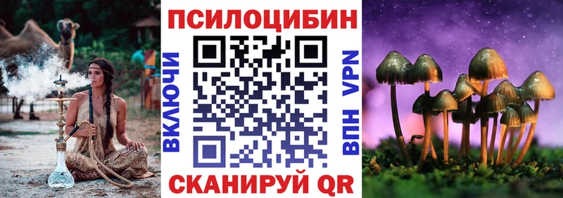 OMG как зайти  как найти закладки  Волчанск  Псилоцибиновые грибы Psilocybe 